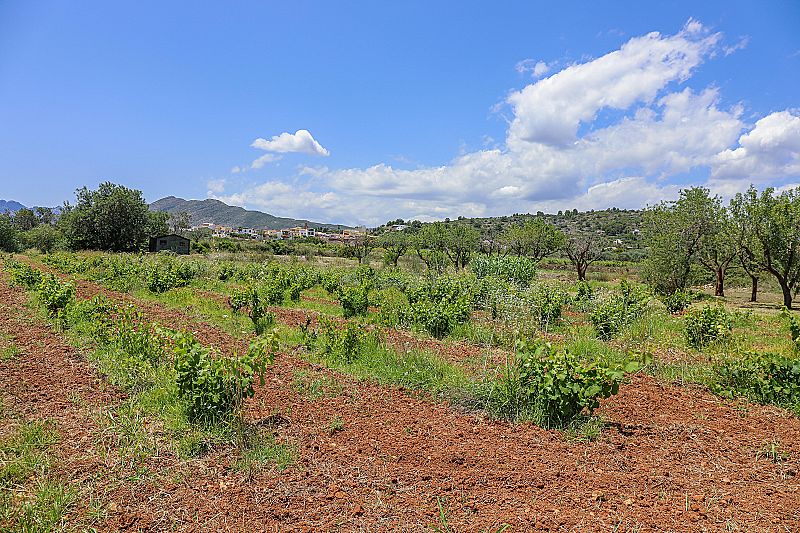 Finca en Benissa  - Reventa - Max Villas