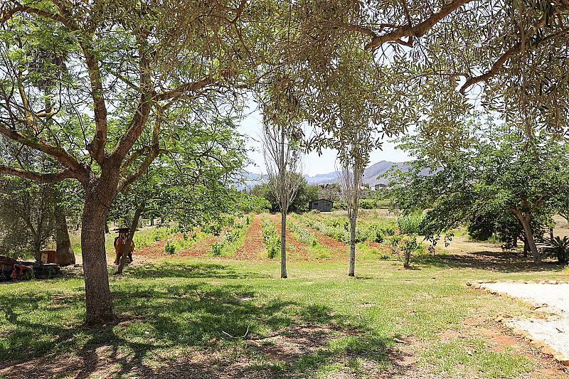 Finca à Benissa  - Revente - Max Villas